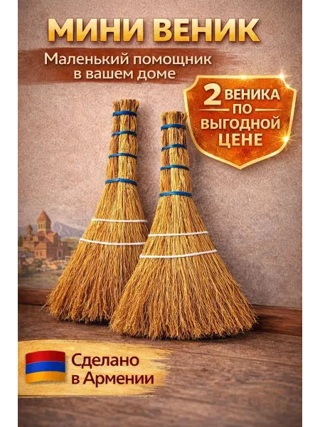 Мини Веник Сорго хозяйственный для уборки дома и машины 2 шт