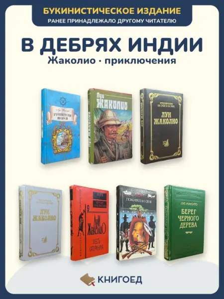 Книгоед Жаколио приключения В дебрях Индии роман 7 книг
