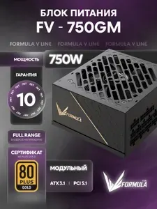 Блок питания для компьютера FORMULA FV-750GM, ATX, 80+ GOLD, GEN.5, FULL MOD