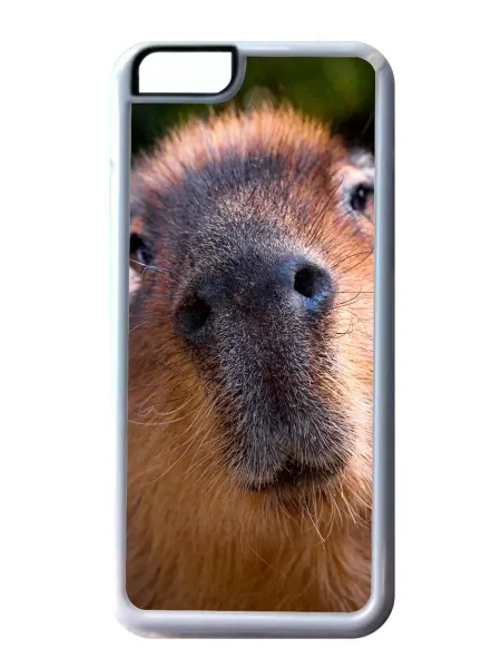 GOODbrelok Чехол на телефон Капибара, iPhone 12 mini