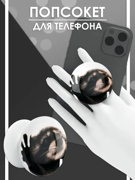 Стетхем Шоп Попсокет Енот Педро, держатель для телефона