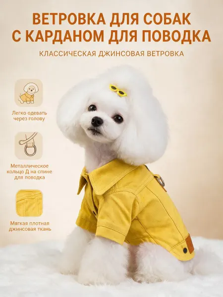 Джинсовая куртка для собак с кольцом для поводка, многоцветн