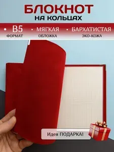 Блокнот для записей В5 на кольцах, ежедневник со сменным блоком 70 листов в клетку