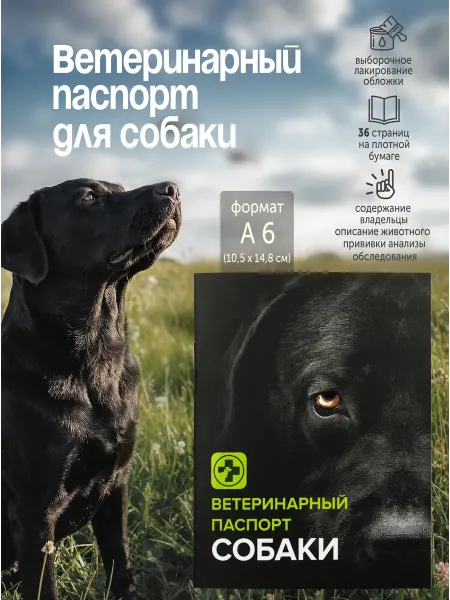 ZooMoDa Ветеринарный паспорт для собак 36 стр