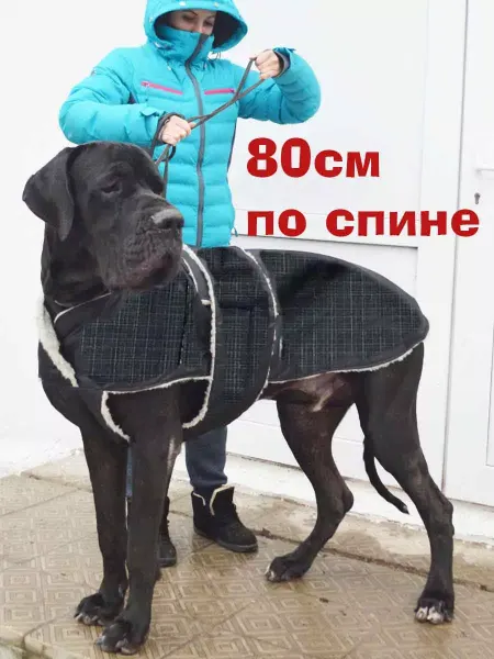 SCHATZ Попона теплая одежда зимняя для собак крупных пород 80см