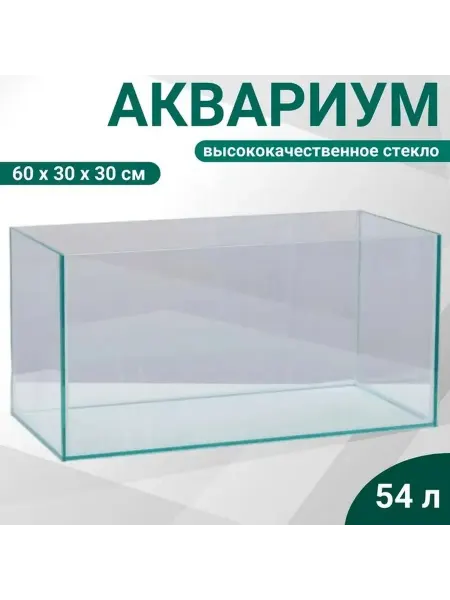 Прозрачный аквариум для уютных водных ландшафтов