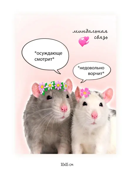 Открытка подруге "Покрысим"- 10х15 см