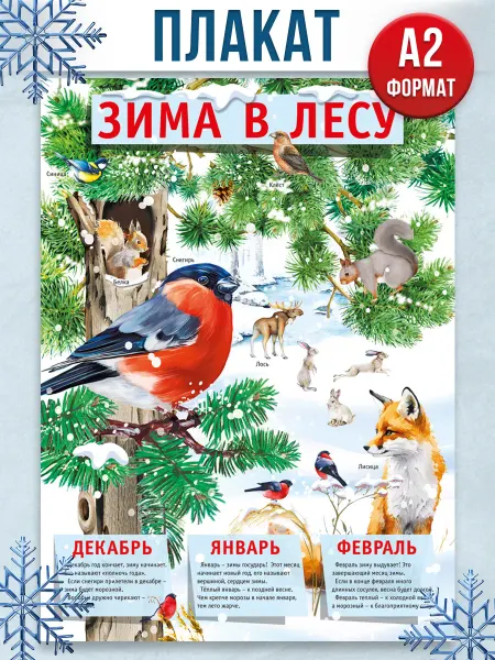 ТМ Мир поздравлений Оформление в школу детский сад времена года Зима в лесу