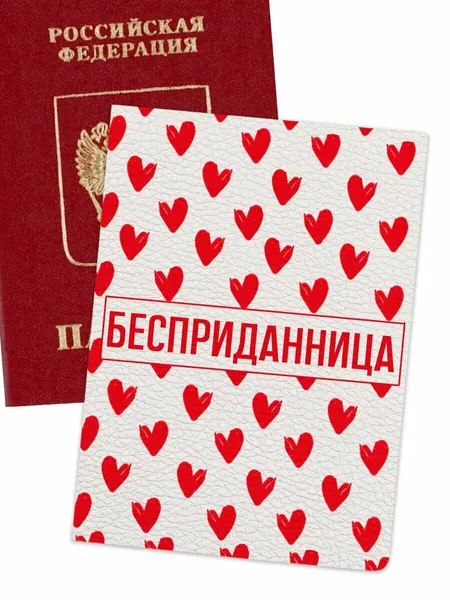 NOOTOОбложка для паспорта
