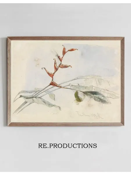 Re.productions Постер Blühender Kaktus bei Tres Barras - Ferdinand Keller