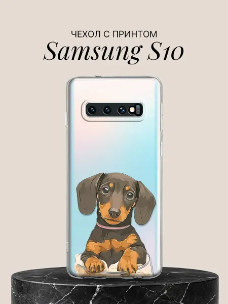 Samsung Чехол на S10 с принтом Милый щенок таксы