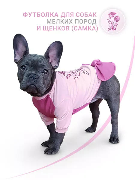 МУРЛЭНД Платье для собак Футболка для собак мелких и средних пород