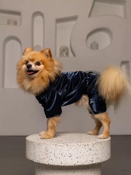 La Vida Feliz - Pretty Pet Демисезонный комбинезон-дождевик для собак