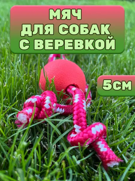 Watermelon Игрушка мяч для собаки жесткий