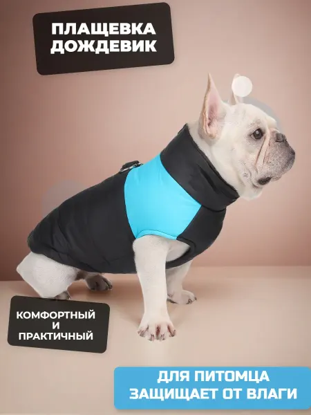 Тёплая одежда для домашних животных