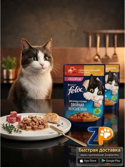 Влажный корм FELIX Двойная Вкуснятина с говядиной и курицей, 75г