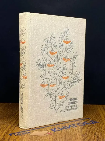 Художественная литература Рюрик Ивнев. Избранные стихотворения