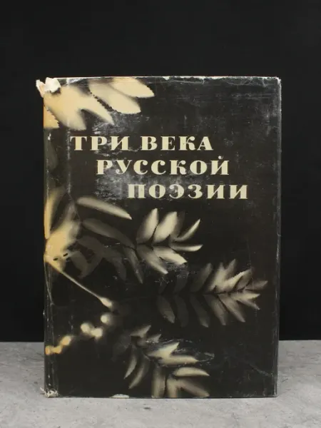 Просвещение Три века русской поэзии