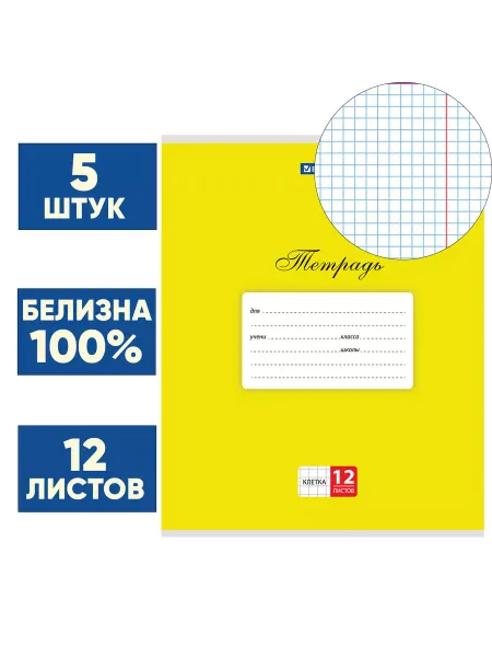 Brauberg Тетрадь в клетку 12 листов школьная набор