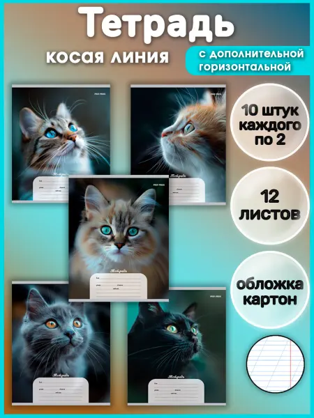 Профф-Пресс Тетрадь в косую линейку 12 листов с доп. линией 10 штук