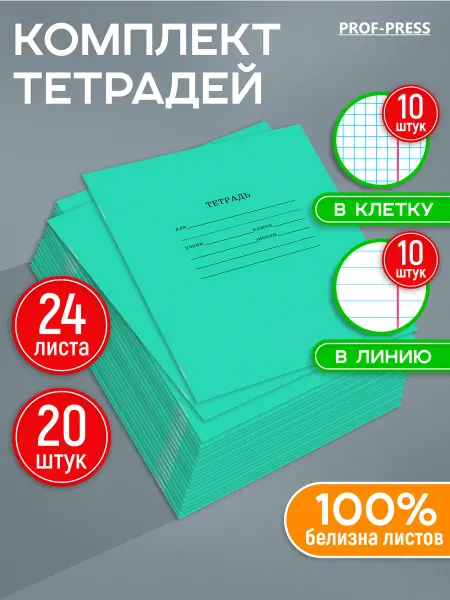 Prof-Press Тетрадь в клетку и в линейку 24 листа 20 штук