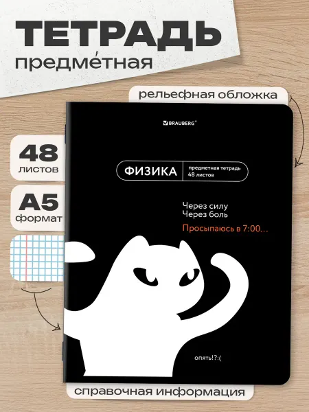 Brauberg Тетрадь предметная по физике, 48 листов