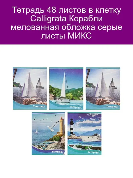 Calligrata Тетрадь 48 листов Корабли в клетку МИКС