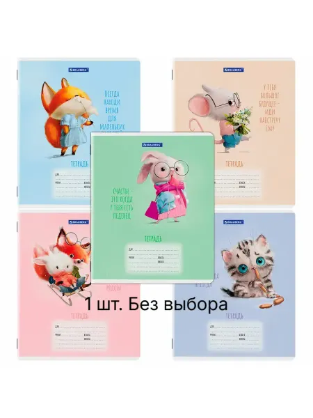 Brauberg Тетрадь 12 л. Клетка, FUNNY ANIMALS, 1 шт