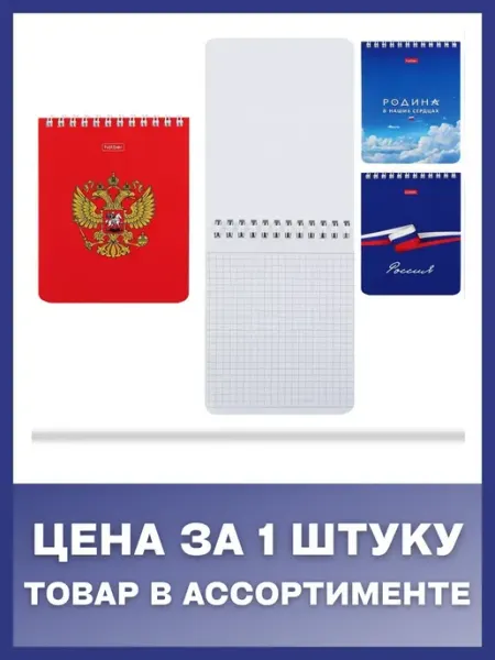 Hatber Блокнот А6 60л клетка гребень Россия УФ-лак ассорти, 1 шт