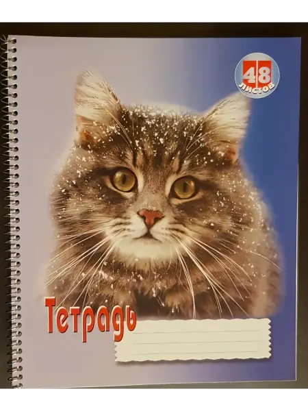 Тетрадь 48 л на спирали 2 шт