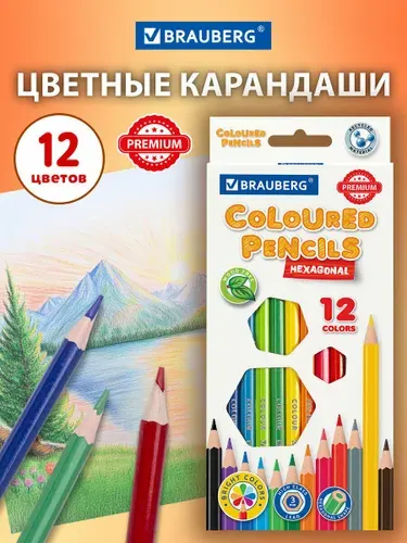 Карандаши цветные Brauberg Premium, 12 цветов, ударопрочные, шестигранные, грифель 3 мм