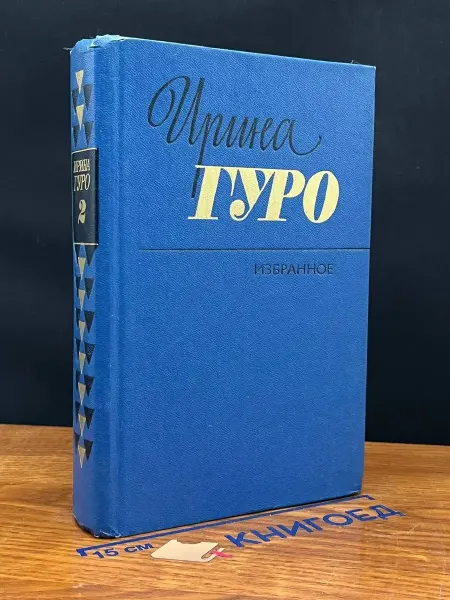 Художественная литература Ирина Гуро. Избранное в 2 томах. Том 2