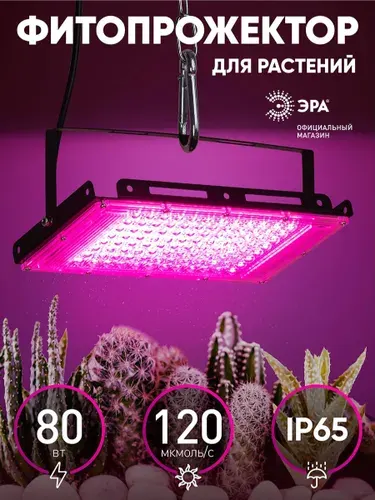 Фитолампа для растений красно-синий спектр ЭРА FITO-80W-RB-LED-Y / прожектор светодиодный для цветения и плодоношения домашнее солнце светильник 80Вт