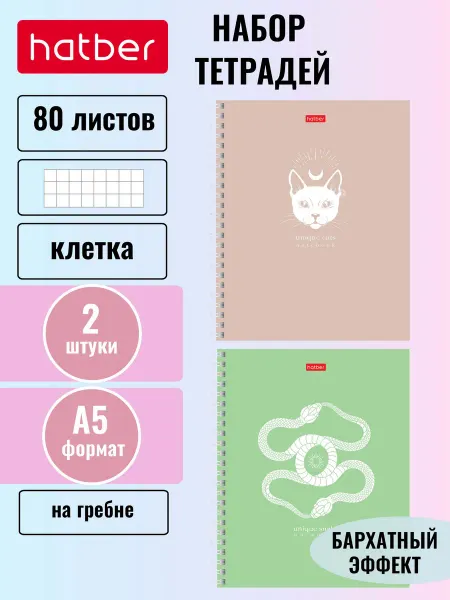 Hatber Тетрадь 80 листов А5 в клетку ламинация 2 штуки