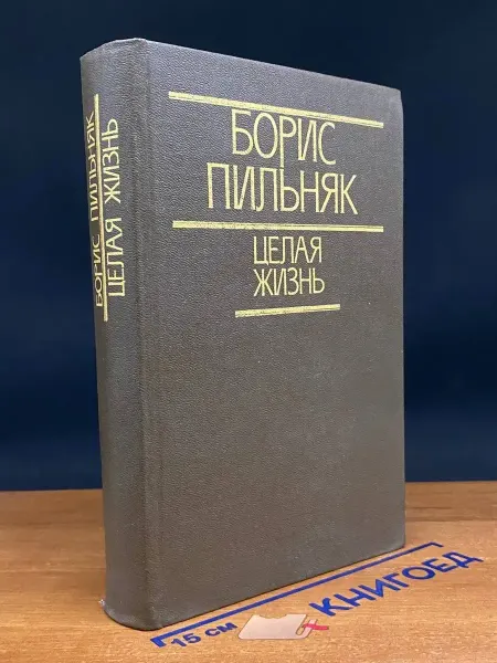 Мастацкая литература Целая жизнь
