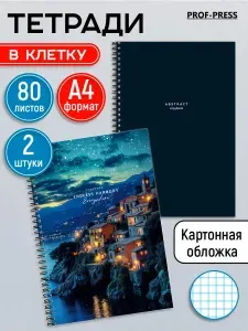Тетрадь 80 листов в клетку Prof-Press, набор 2 штуки