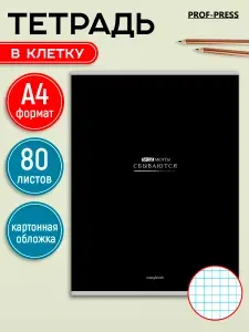 Prof-Press Тетрадь А4 в клетку 80 листов на пружине