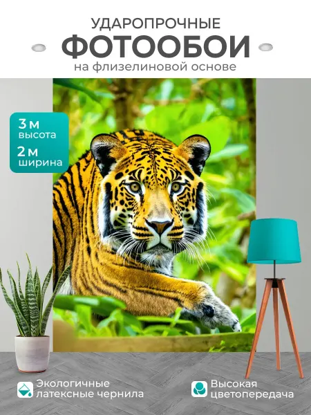 LotsPrints Фотообои "Экзотические животные в их естественной." 2x3м