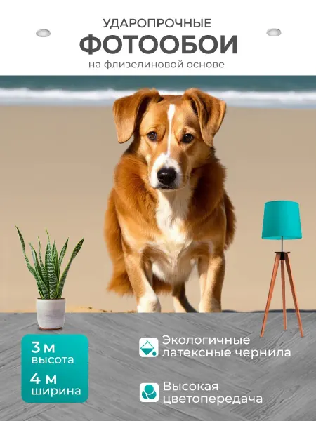 LotsPrints Фотообои "Животные в стиле минимализм с совпадением." 4x3м