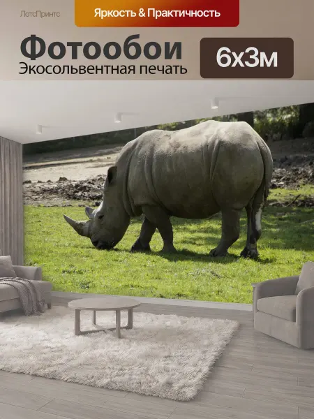 LotsPrints Фотообои "Носорог, зоопарк, луг" 6x3м
