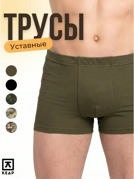 ТК КЕДР ВКПО трусы уставные нового образца 1 шт