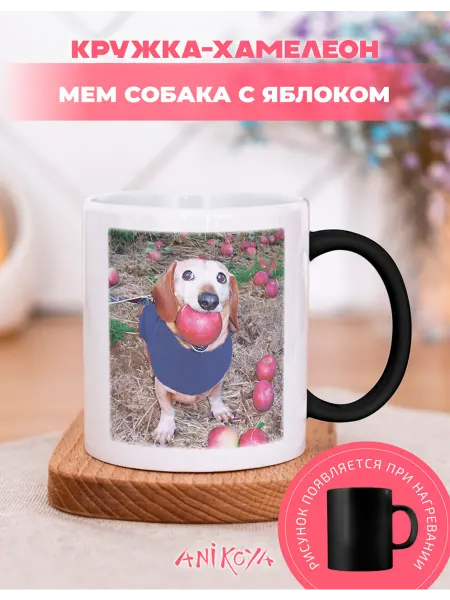 AniKoya Кружка подарочная хамелеон мем собака с яблоком