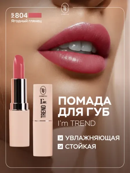 TF COSMETICS Помада для губ увлажняющая стойкая, тон 804