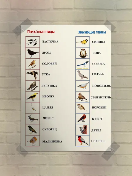 Frykt Постер "в детскую"