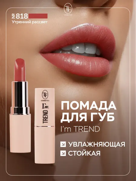 TF COSMETICS Помада для губ увлажняющая стойкая, тон 818