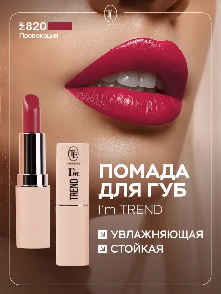 TF COSMETICS Помада для губ увлажняющая стойкая, тон 820