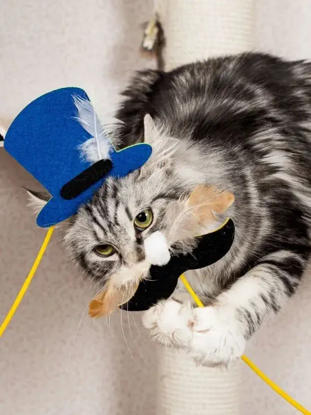 Japan Premium Pet Игрушка шляпа для кошек