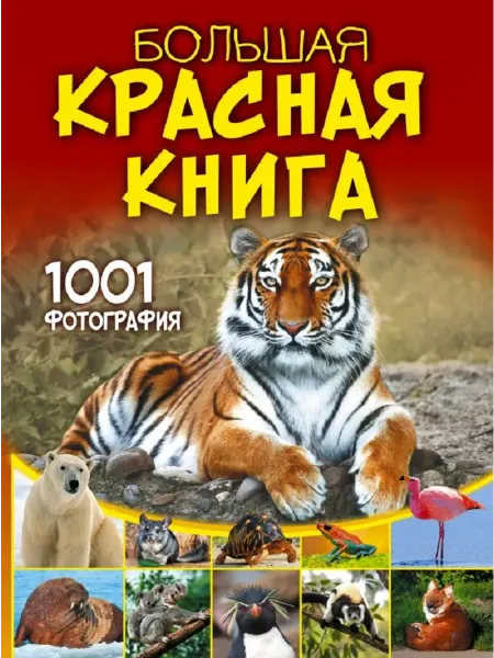 АСТ Большая красная книга 1001 фотография (Спектор А.А.)