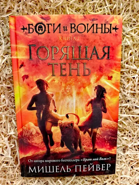 Азбука. Боги и воины. Книга 2. Горящая тень