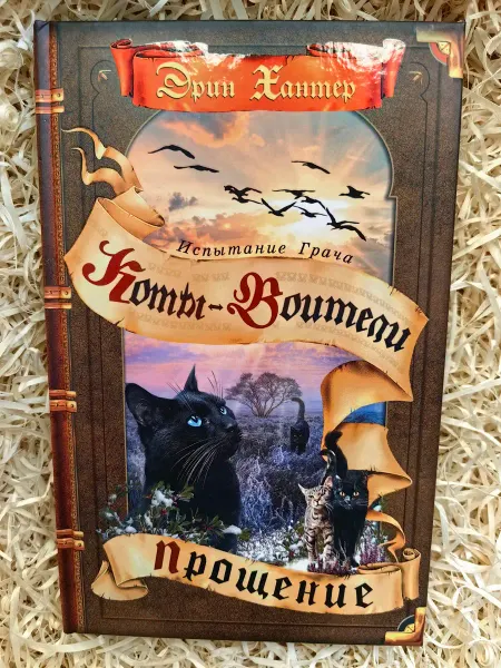 Олма Медия Групп Коты-воители. Испытание Грача. Книга 2. Прощение